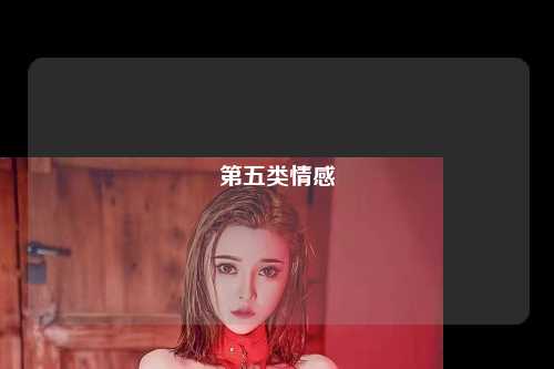 第五类情感