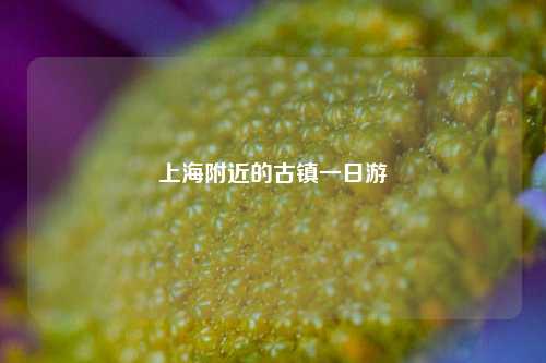 上海附近的古镇一日游