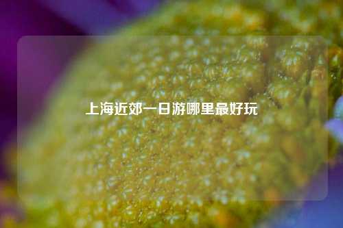 上海近郊一日游哪里最好玩