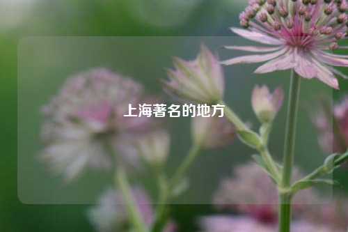上海著名的地方