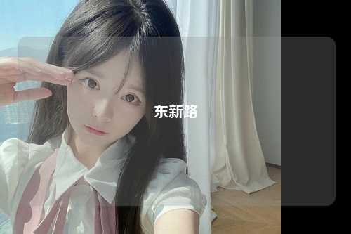 东新路