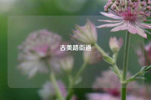 古美路街道