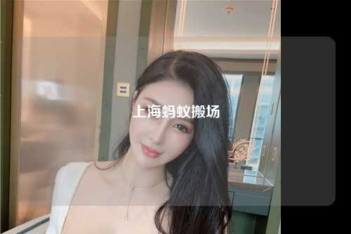 上海蚂蚁搬场
