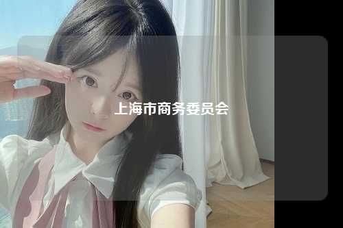 上海市商务委员会