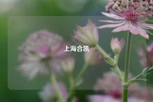 上海合凯
