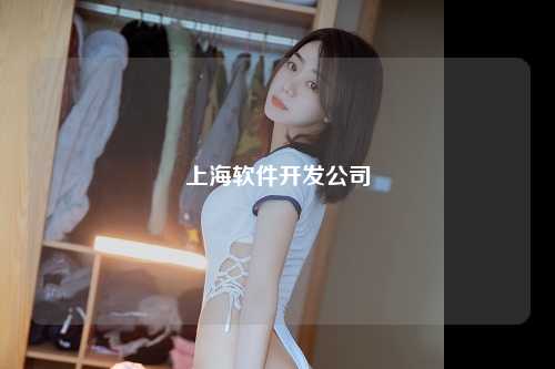 上海软件开发公司