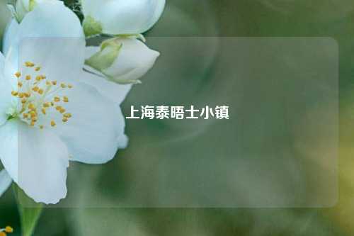 上海泰晤士小镇