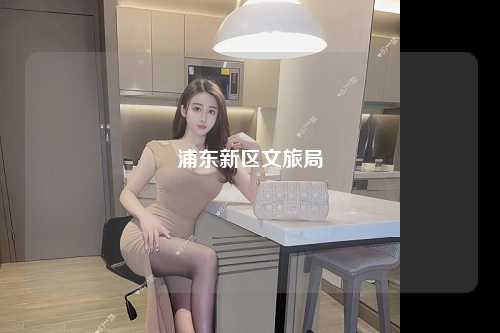浦东新区文旅局