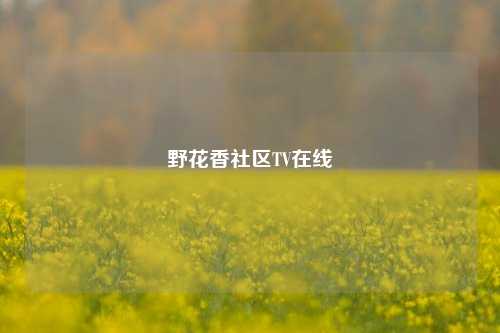野花香社区TV在线