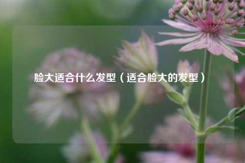 脸大适合什么发型（适合脸大的发型） 