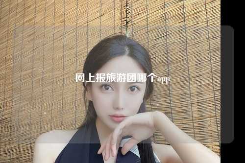 网上报旅游团哪个app