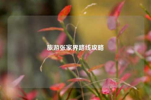 旅游张家界路线攻略