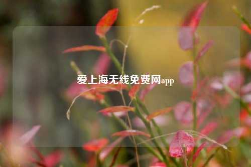 爱上海无线免费网app