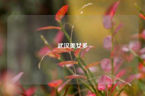 武汉美女多