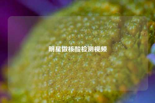 明星做核酸检测视频