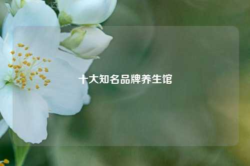 十大知名品牌养生馆