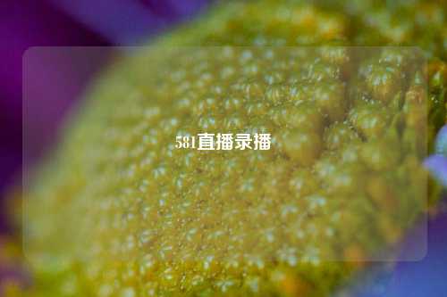 581直播录播