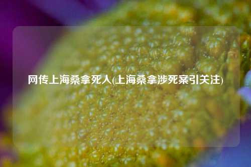 网传上海桑拿死人(上海桑拿涉死案引关注)