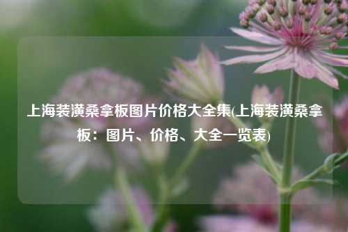 上海装潢桑拿板图片价格大全集(上海装潢桑拿板：图片、价格、大全一览表)