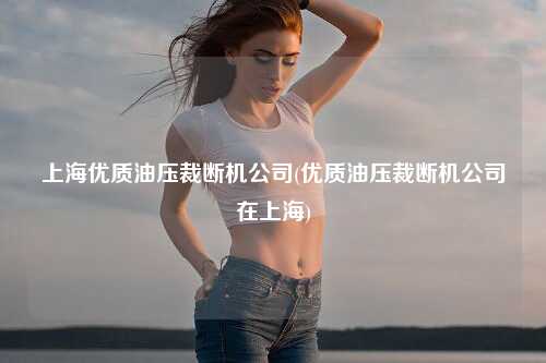 上海优质油压裁断机公司(优质油压裁断机公司在上海)