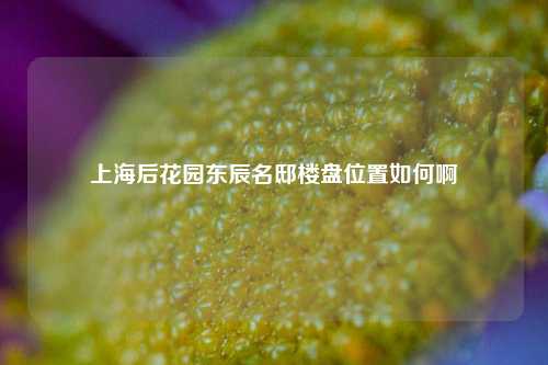上海后花园东辰名邸楼盘位置如何啊