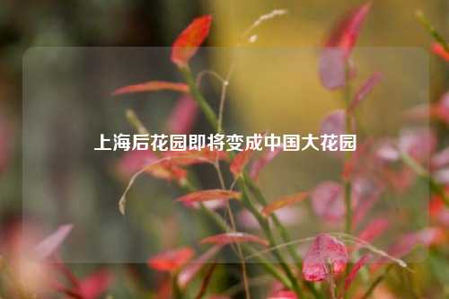 上海后花园即将变成中国大花园