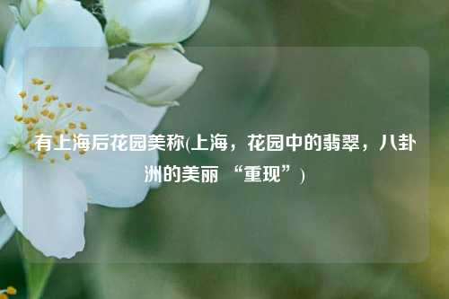 有上海后花园美称(上海，花园中的翡翠，八卦洲的美丽 “重现”)