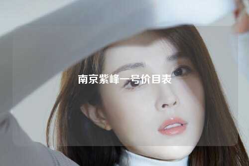 南京紫峰一号价目表