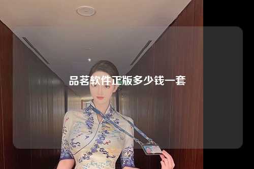 品茗软件正版多少钱一套