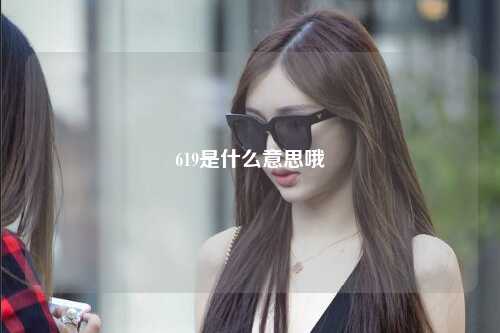619是什么意思哦