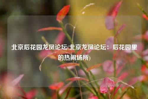 北京后花园龙凤论坛(北京龙凤论坛：后花园里的热闹场所)