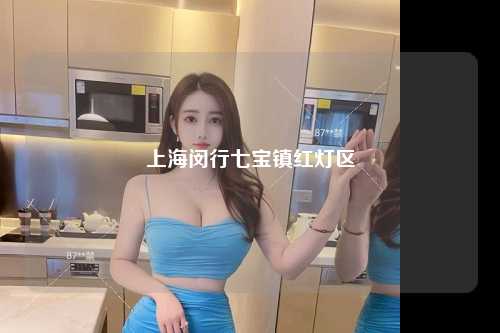 上海闵行七宝镇红灯区
