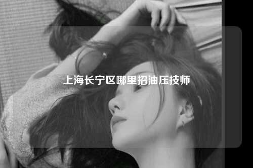 上海长宁区哪里招油压技师