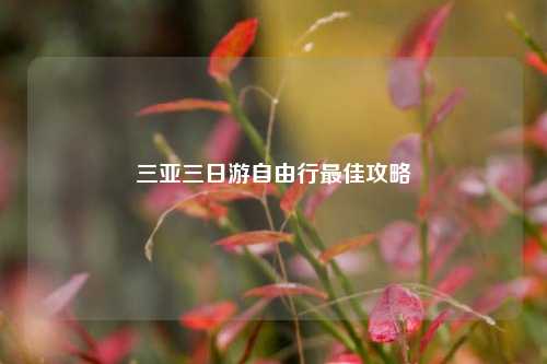 三亚三日游自由行最佳攻略