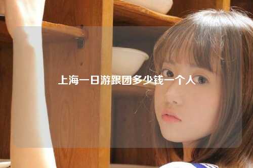 上海一日游跟团多少钱一个人