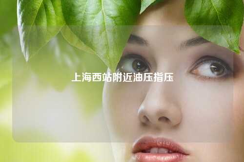 上海西站附近油压指压