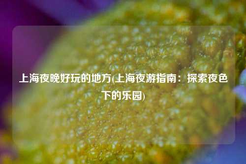 上海夜晚好玩的地方(上海夜游指南：探索夜色下的乐园)