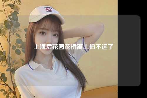 上海后花园花桥离土拍不远了