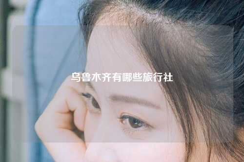乌鲁木齐有哪些旅行社