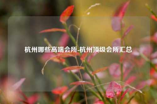 杭州哪些高端会所-杭州顶级会所汇总