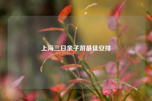 上海三日亲子游最佳安排