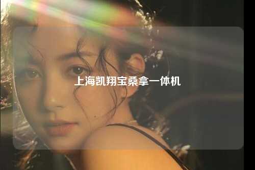 上海凯翔宝桑拿一体机